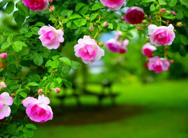 Что оставить после себя?